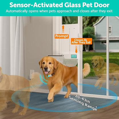 Automatic Sliding Glass Dog Door - Image 3