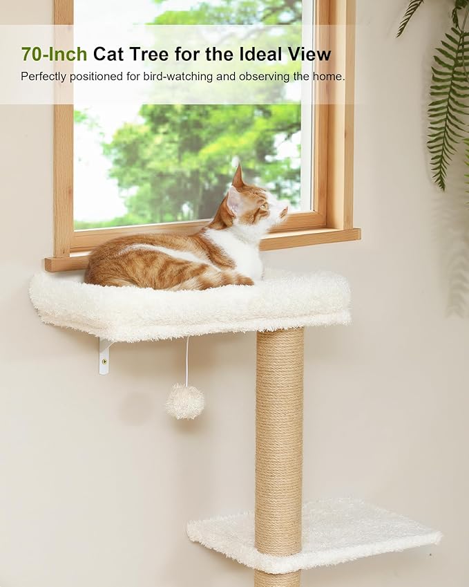 FUKUMARU Cat Wall Shelves, Stable Wall Mounted Cats Furniture Set, Kitten - Image 4