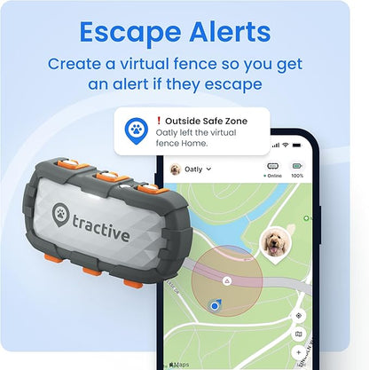 Tractive XL Smart Dog GPS Tracker | Live Pet Tracker - Image 3