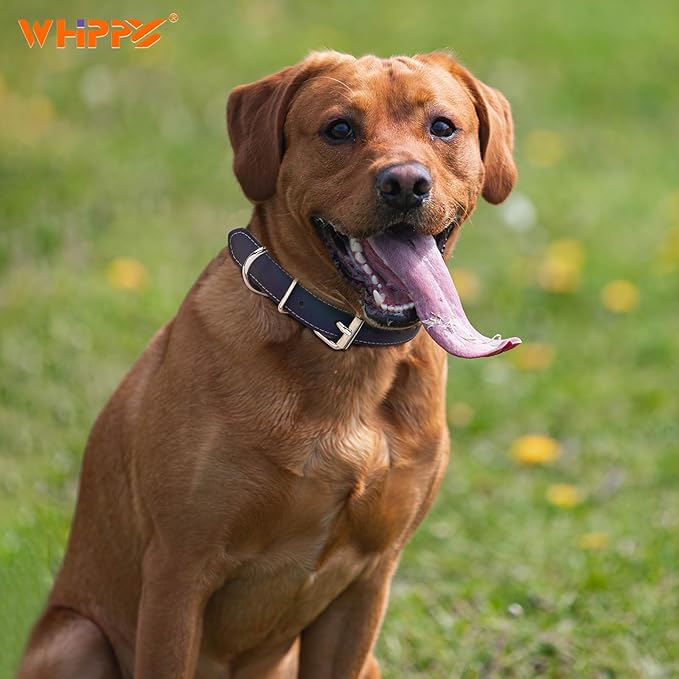 WHIPPY Leather Dog Collar for Medium Large Dog Adjustable Soft Leather Padded - Image 3