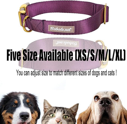Nylon Dog Collar - Image 7