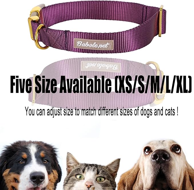 Nylon Dog Collar - Image 7