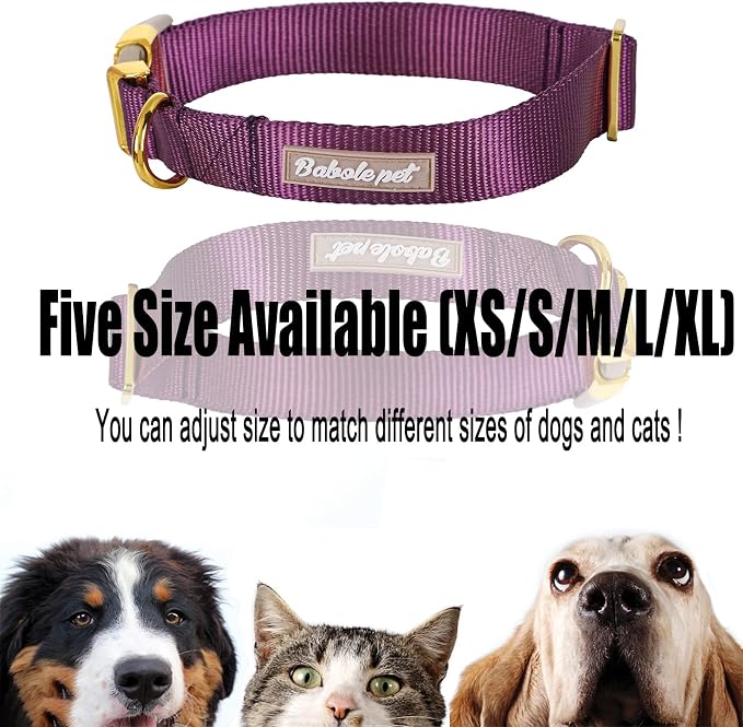 Nylon Dog Collar - Image 7