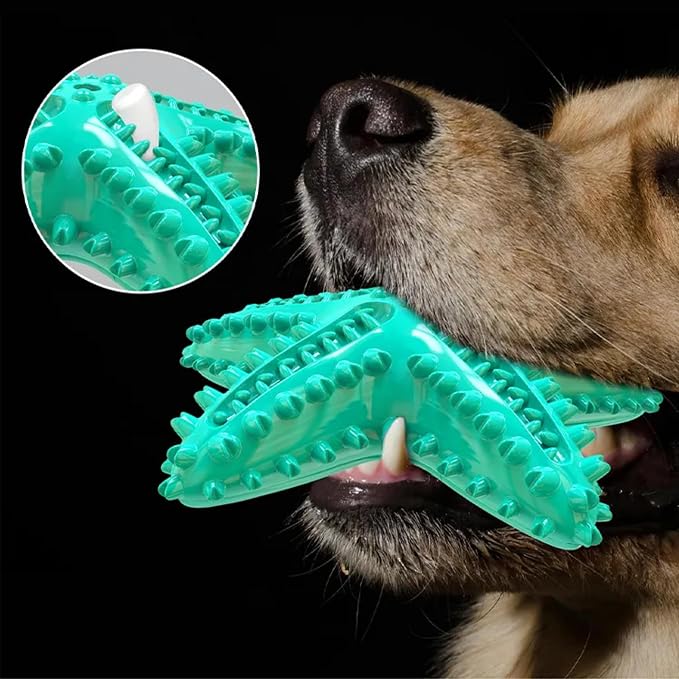 Chew Toy for Dog Toothbrush Stick Dog Toys for Aggressive Chewers Interactive - Image 4