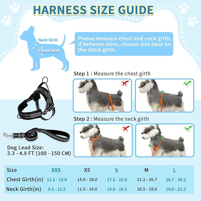 SlowTon No Pull Small Dog Harness and Leash Set, Puppy Soft Vest Harness Neck & - Image 5