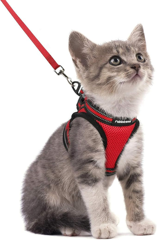 rabbitgoo Cat Harness and Leash Set by rabbitgoo