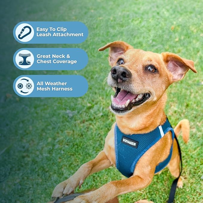 Best Pet Supplies Voyager Step-in Air All Weather Mesh Harness and Reflective - Image 5