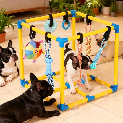 Puppy Play Gym for Small Dogs - Image 6