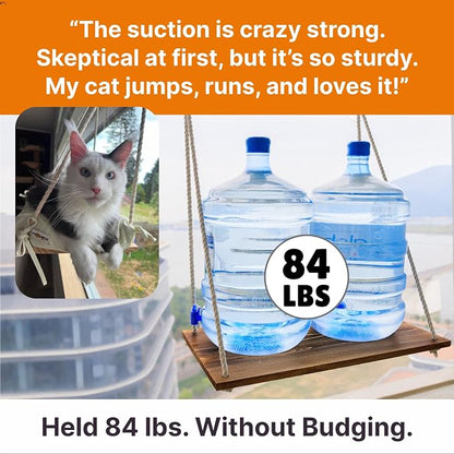 Large Cat Window Perch with Industrial-Grade Suction Cups - Image 3