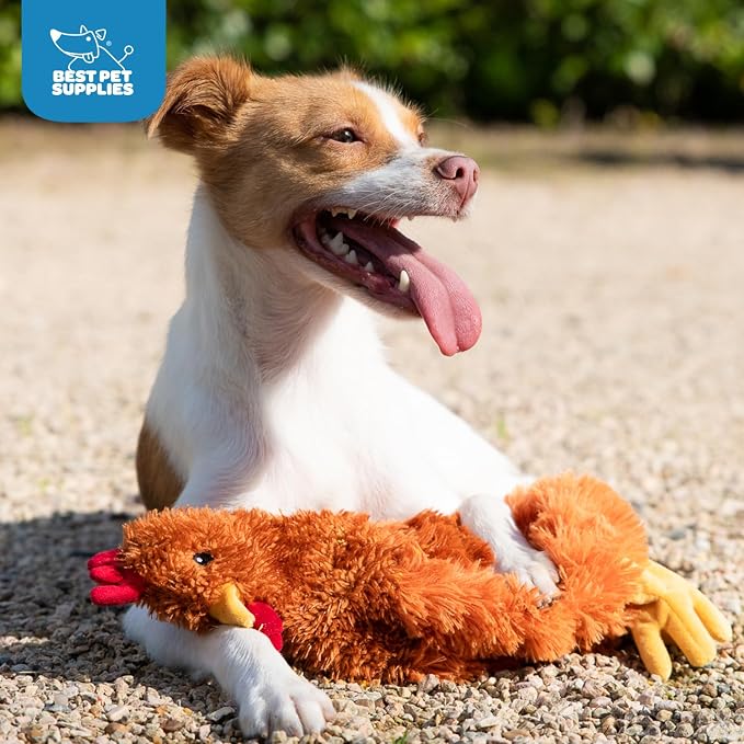 Best Pet Supplies Interactive Squeaky Dog Chew Toy, Ideal Dog Toys - Image 5
