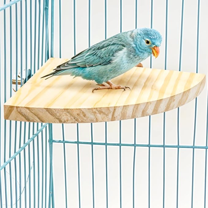 Bird Perch Platform Stand Wooden Parrot Perch Corner 5.9 Inches Fan Shape - Image 4