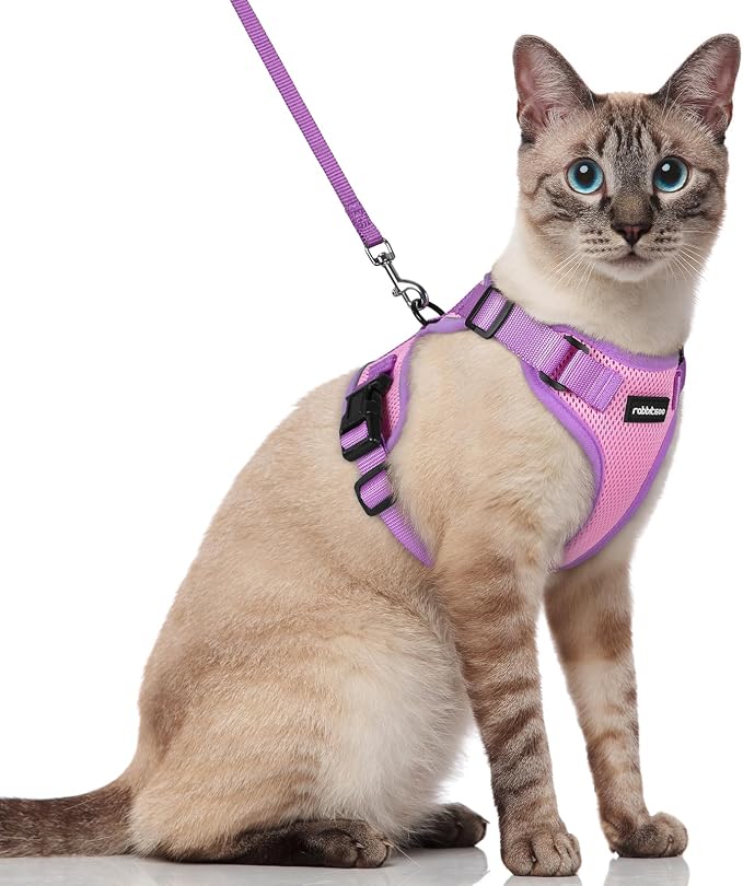 rabbitgoo Cat Harness and Leash Set, Escape Proof Soft Adjustable Vest Harnesses by rabbitgoo