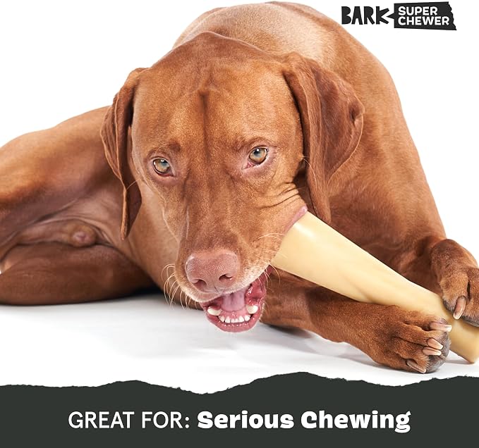 Barkbox Super Chewer Tough Dog Chew Toys - Image 5