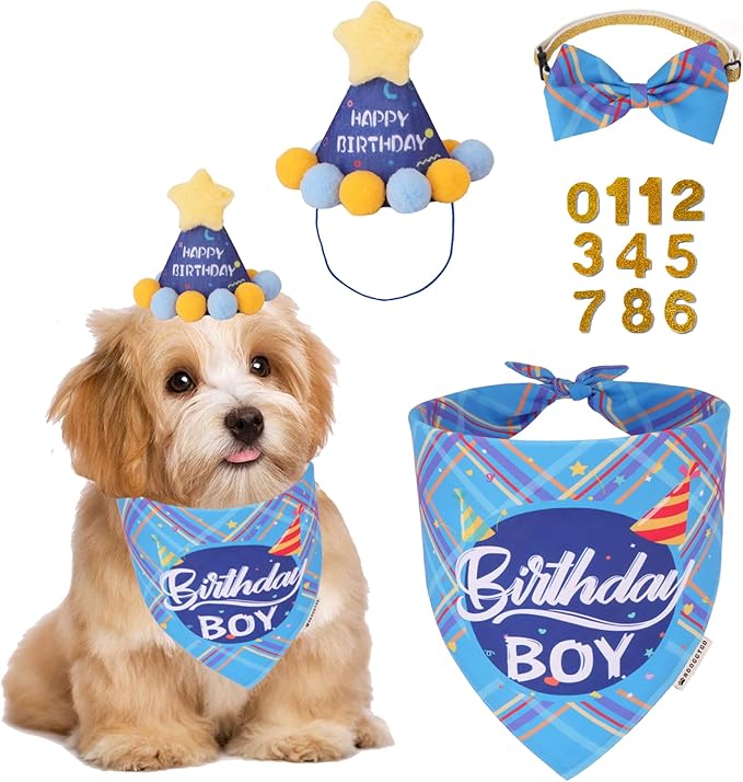 ADOGGYGO Dog Birthday Party Supplies, Party Hat by ADOGGYGO