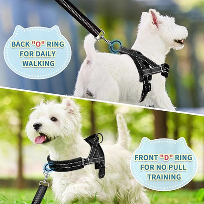SlowTon No Pull Small Dog Harness and Leash Set, Puppy Soft Vest Harness Neck & - Image 4