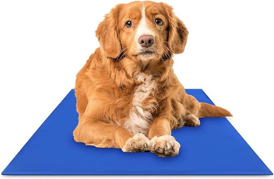 The Green Pet Shop Chillz Gel Mat, Medium by TheGreenPetShop