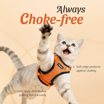 Dooradar Cat Harness and Leash Set, Escape Proof Safe Adjustable Kitten Vest - Image 2