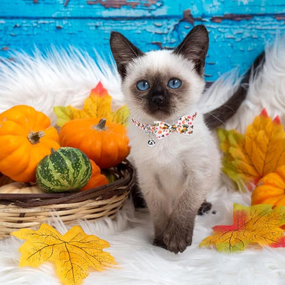 SCENEREAL Thanksgiving Cat Collar Breakaway, 3 Pack Kitten Collars - Image 6