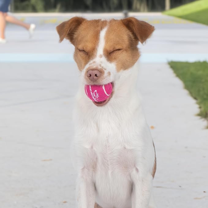 Best Pet Supplies Interactive Squeaky Dog Chew Toy, Ideal Dog Toys - Image 8