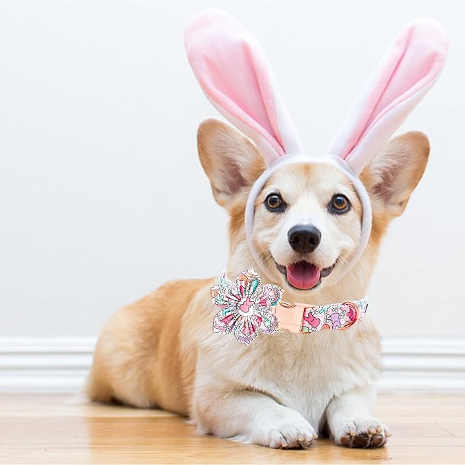 Lionheart glory Easter Day Dog Collar - Image 4