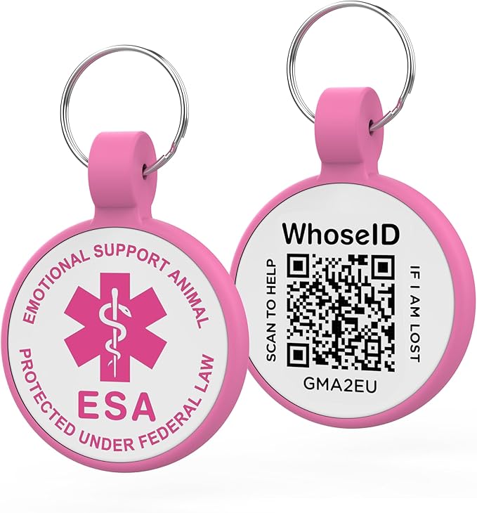 QR Code Dog Tag, QR Code Pet ID Tag, Dog ID Tag, Small Cat by WhoseID
