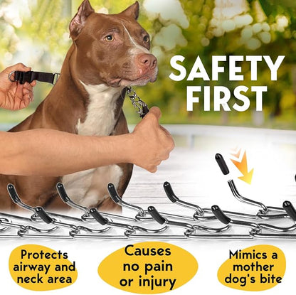 PetJett Prong Collar for Dogs - Image 3