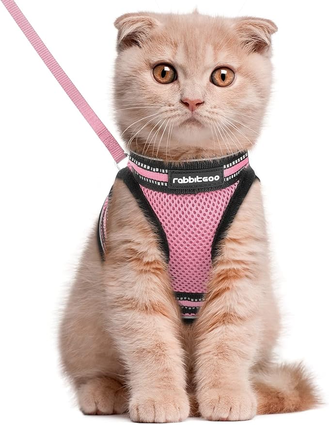 rabbitgoo Cat Harness and Leash Set by rabbitgoo