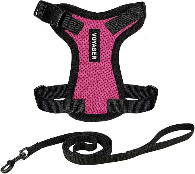 Voyager Escape-Proof Step-in Lock Cat Harness & 5ft Neoprene-Handle Leash Set by BestPetSuppliesLLC