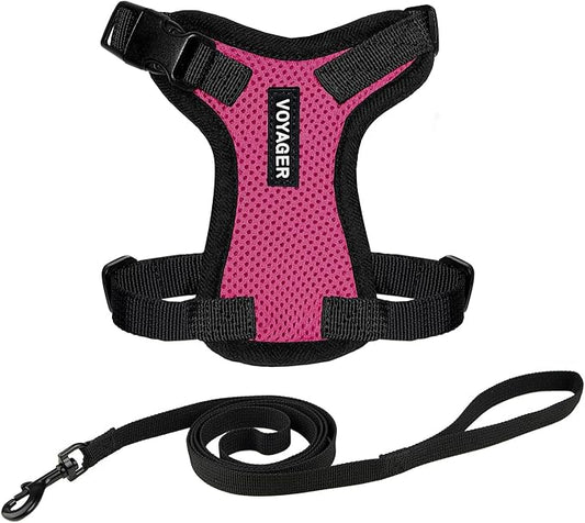 Voyager Escape-Proof Step-in Lock Cat Harness & 5ft Neoprene-Handle Leash Set by BestPetSuppliesLLC