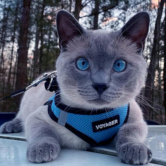 Best Pet Supplies Voyager Step-in Air Harness - Image 8