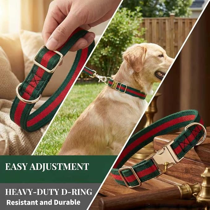 Premium Dog Collar, Cute Dog Collars Luxury Style, Durable Pet Collars and Dog - Image 3