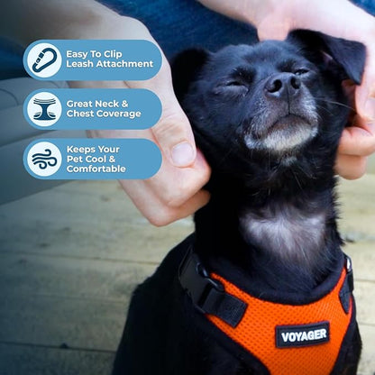 Voyager Step-in Pet Harness - Image 3