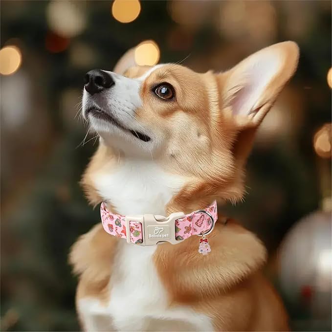 Christmas Dog Collar - Image 6