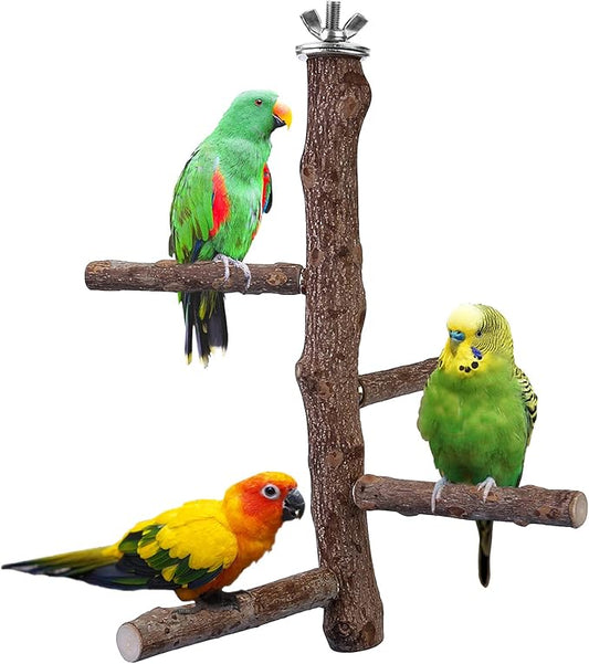 Bird Perch Stand Toy, Natural Wood Parrot Perch Bird Cage Branch Perch by Filhome
