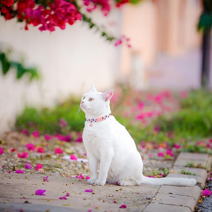 SCENEREAL Breakaway Cat Collar - Image 5