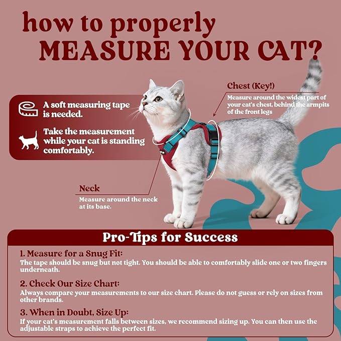 rabbitgoo Cat Harness and Leash - Image 2