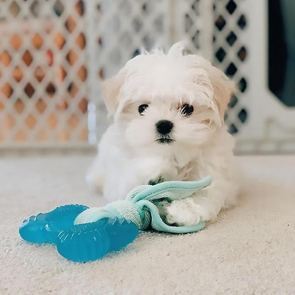 Nylabone Freezer Bone Puppy Chew Toy, Soothing Teething Toys - Image 9