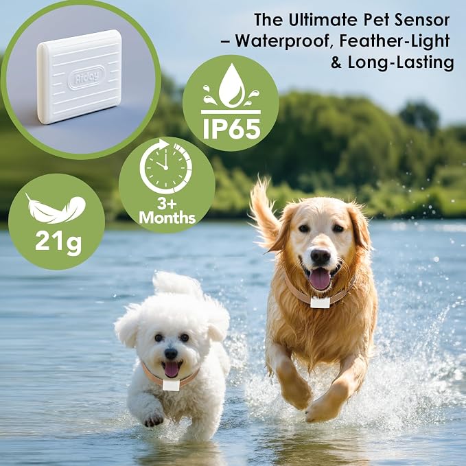 Automatic Pet Door Collar, Included 2 Sensor Collar, Large Size - Image 3