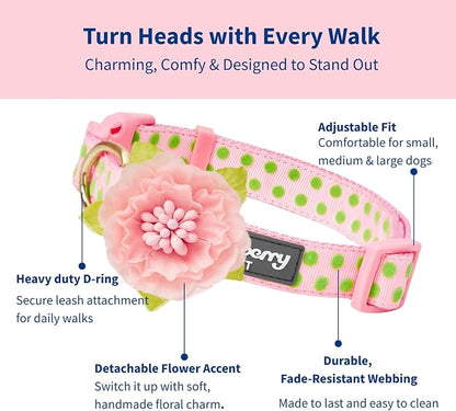Blueberry Pet Adjustable Flocking Dog Collar - Image 3