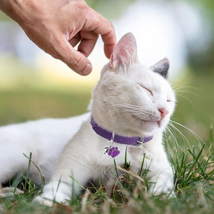 SCENEREAL Cat Collar with Bells, Leather Cat Collars with Paw Studded, - Image 2