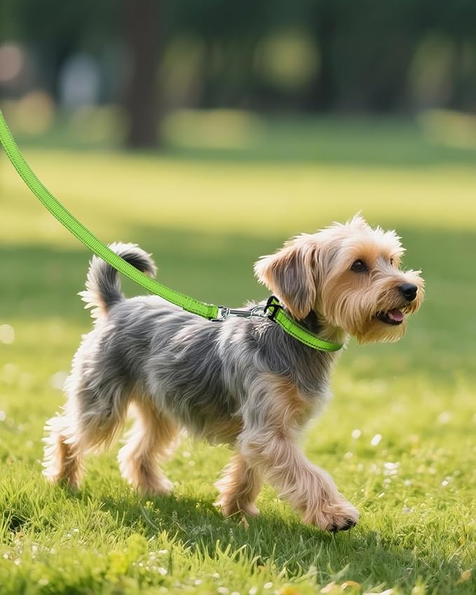 Joytale Small Dog Collar, Reflective and Adjustable Nylon Collar - Image 6