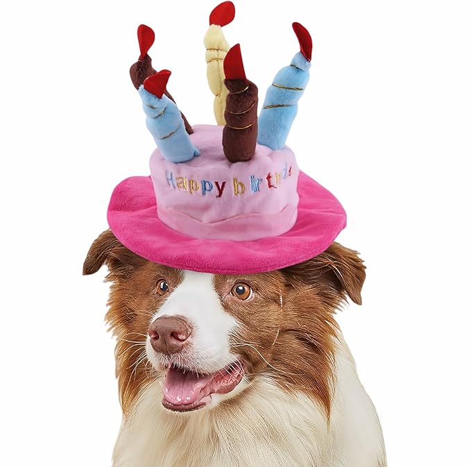 Cute Pet Party Hat for Dogs&Cats by FANBODTA