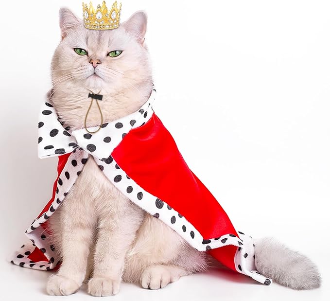 Abbylike Pet Rhinestone King Crown Small Size, Queen Crown - Image 7