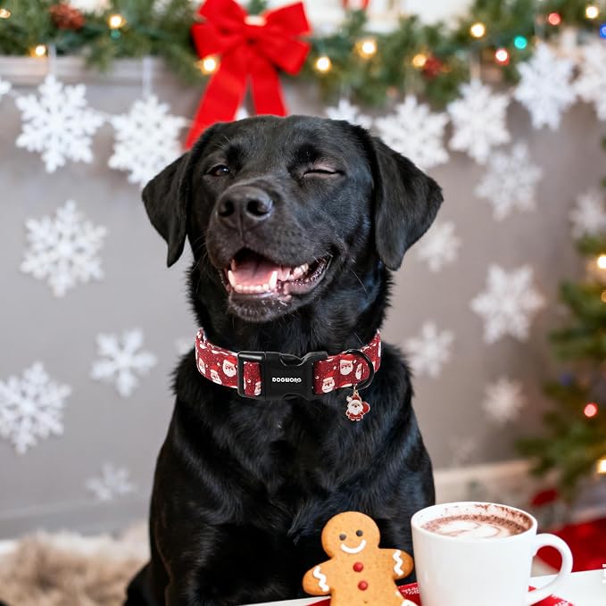 DOGWONG Christmas Dog Collar - Image 4