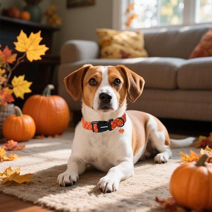 DOGWONG Fall Plaid Dog Collar, Cherkered Autumn Dog Collars, Adjustable Cute - Image 5