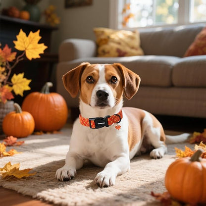 DOGWONG Fall Plaid Dog Collar, Cherkered Autumn Dog Collars, Adjustable Cute - Image 5