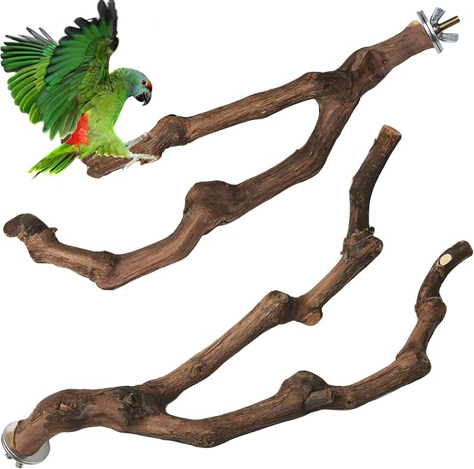 PINVNBY Natural Parrot Perch Bird Stand Pole Wild Grape Stick Paw Grinding Fork by PINVNBY