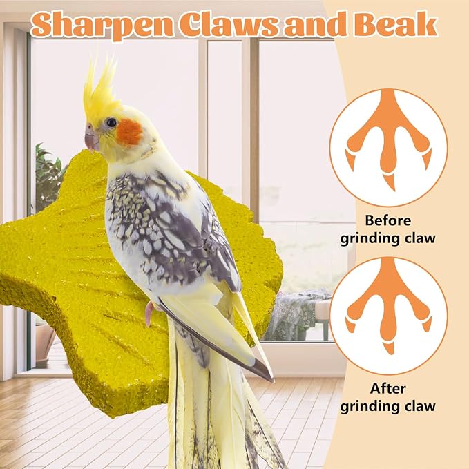 3 Pcs Parrot Perch Resin Bird Beak Grinding Stone Leaf Shape Perch Stand Foot - Image 5