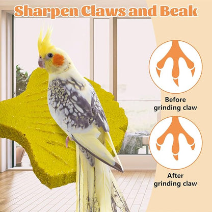 3 Pcs Parrot Perch Resin Bird Beak Grinding Stone Leaf Shape Perch Stand Foot - Image 5