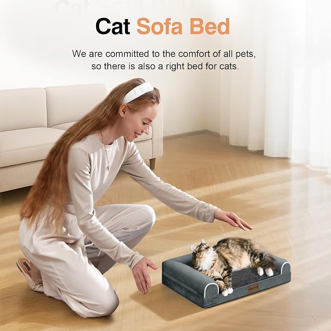 Small Dog Bed Orthopedic Washable: Beds Bolster Small Sized Dogs Cats Bed Egg - Image 3